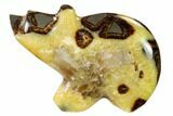 Calcite Crystal Filled, Polished Septarian Bear - Utah #160171-2
